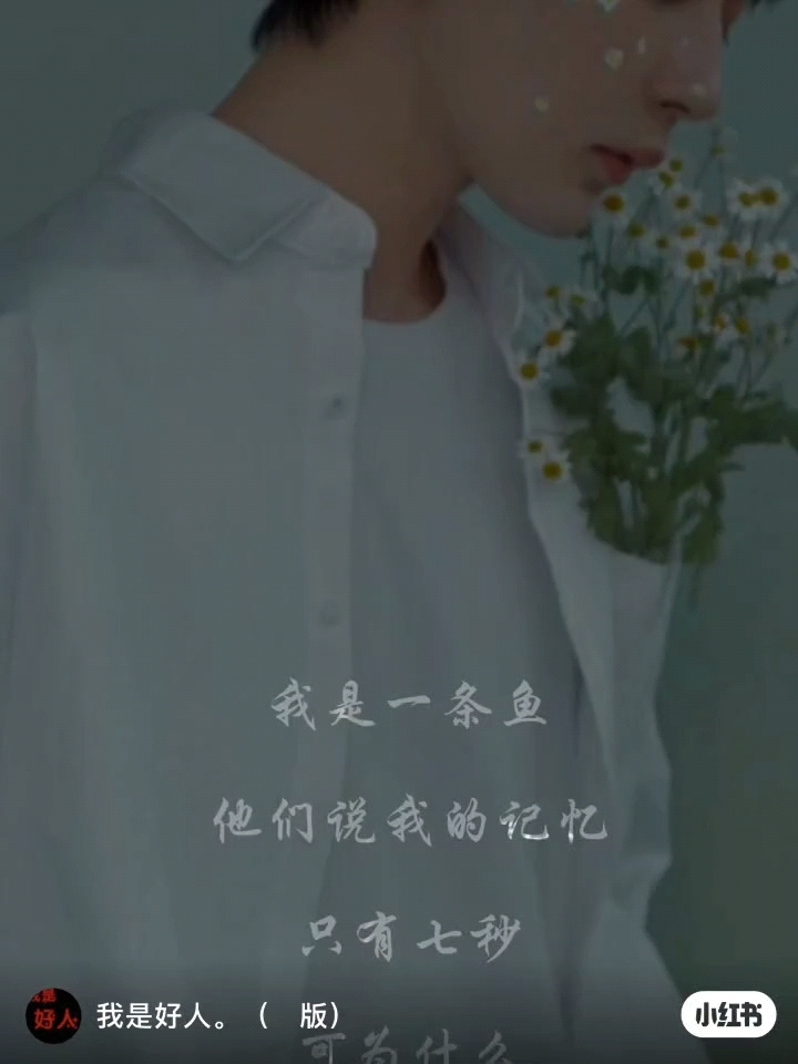 搬运分享。我是一条鱼，七秒记忆也无法忘记
