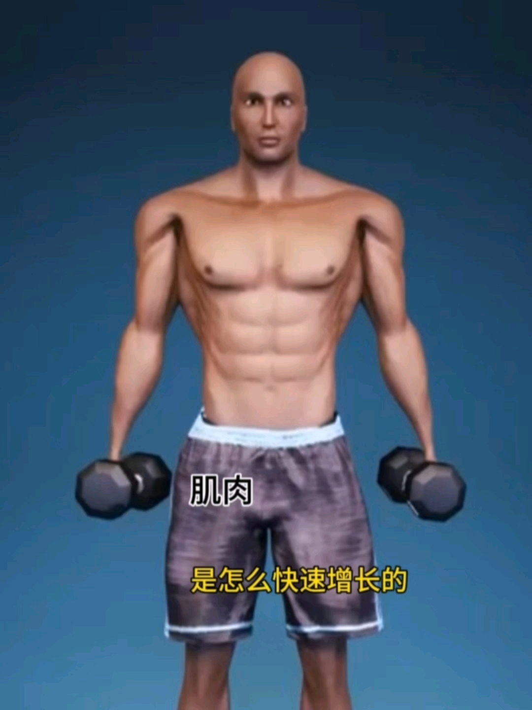 你知道肌肉是如何快速增长的吗