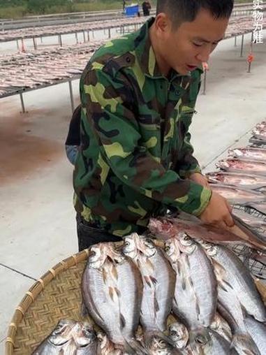 这鱼是真的很好吃，有新鲜鱼的鲜，不咸不淡，还很好挑刺 阳干大白刁 阳干鱼 下饭菜 家常菜 