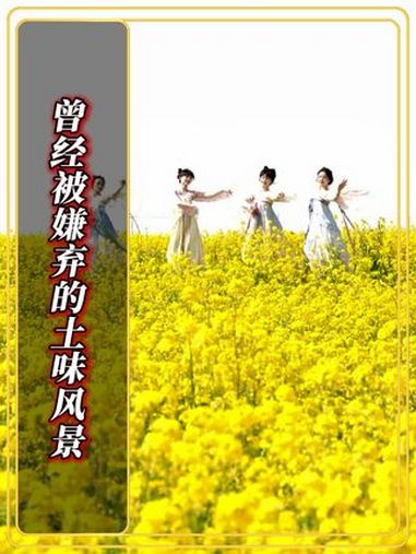 破防了!曾经这片被嫌弃的油菜花田,藏着全网最治愈的风景,家乡这片油菜花海,才是心之所向。合