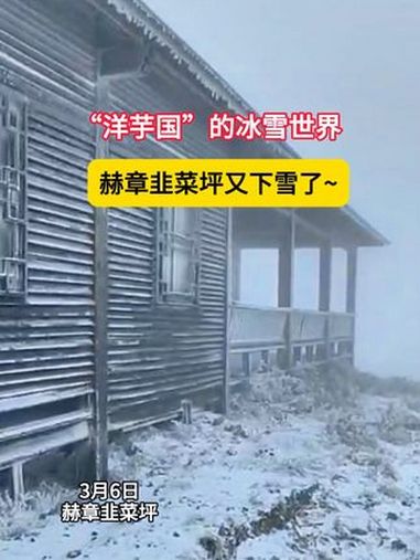 赫章韭菜坪又下雪了~ 赫章下雪 贵州