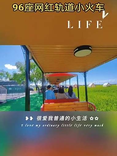 黑龙江齐齐哈尔稻田画里面运行的网红轨道小火车,源头厂家定制生产,车厢配置风扇和照明,可乘坐