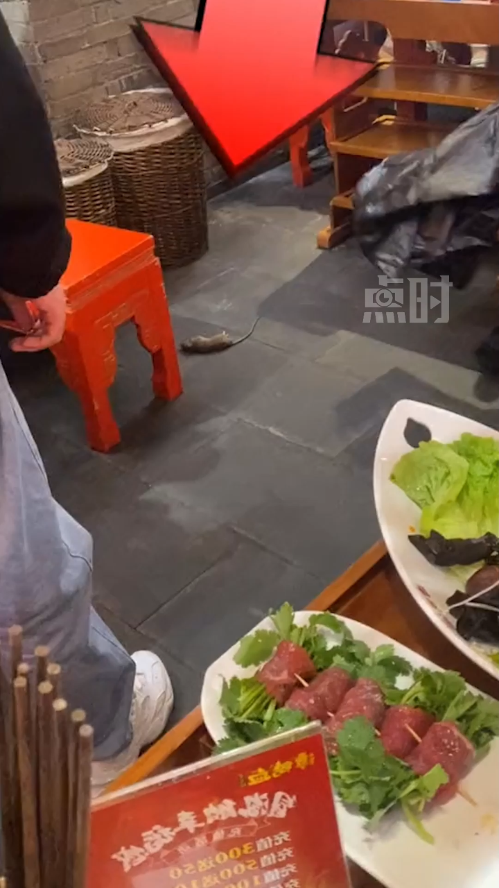 武汉知名火锅店天降老鼠砸到食客 12月4日,湖北武汉。刘女士和朋友吃谭鸭血老火锅时,一只老