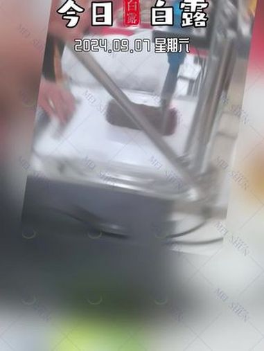 秋风起,水天长,没有切不了的食品 超声波食品切割机 蛋糕切割机 梦龙卷 卷糕切片机 上热门