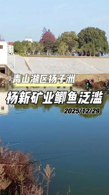 回水湾.鲫鱼泛滥人挨人 #钓鱼 #钓鱼人就是这么疯狂 #野钓鲫鱼 #上热门话题 #真实生活