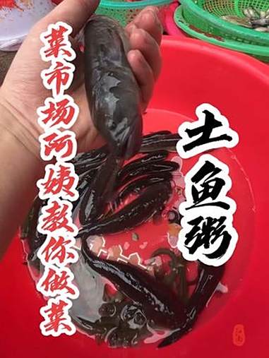 好好吃饭大赛,同学们,这个鱼你们那儿叫什么名字?你们都是怎么吃的呢?内容启发搜索 菜市场阿