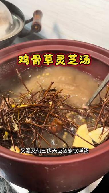 每年三伏天我们都会煲这款鸡骨草灵芝汤饮#广东靓汤 #煲汤 #为你煲汤 #鸡骨草灵芝汤 #灵
