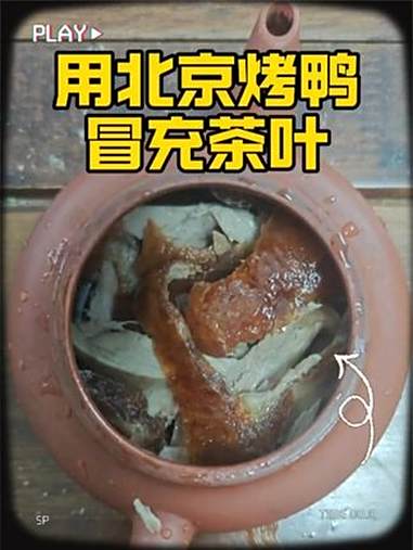 用北京烤鸭冒充茶叶 内容过于真实 胡说八道文学 万物皆可泡茶 超能演剧情大赛