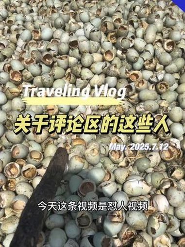 今天怼人,不爱看划走 捡鸭子 回复评论 原创视频