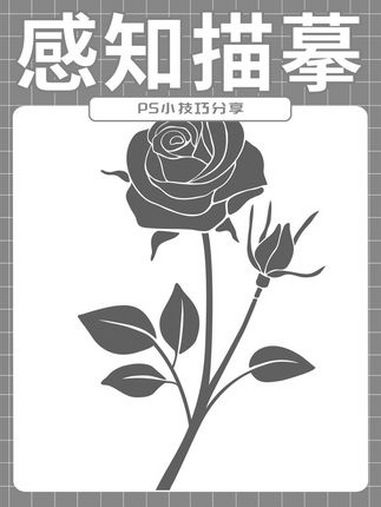 内容感知描摹工具你知道吗 平面设计 ps教程 设计分享 素材分享 海报设计