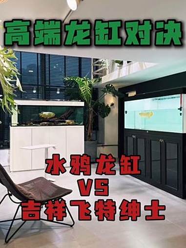 高端品牌缸对比，水鸦龙缸VS吉祥飞特绅士 吉祥飞特绅士鱼缸 水鸦龙鱼缸 水鸦鱼缸 吉祥飞特