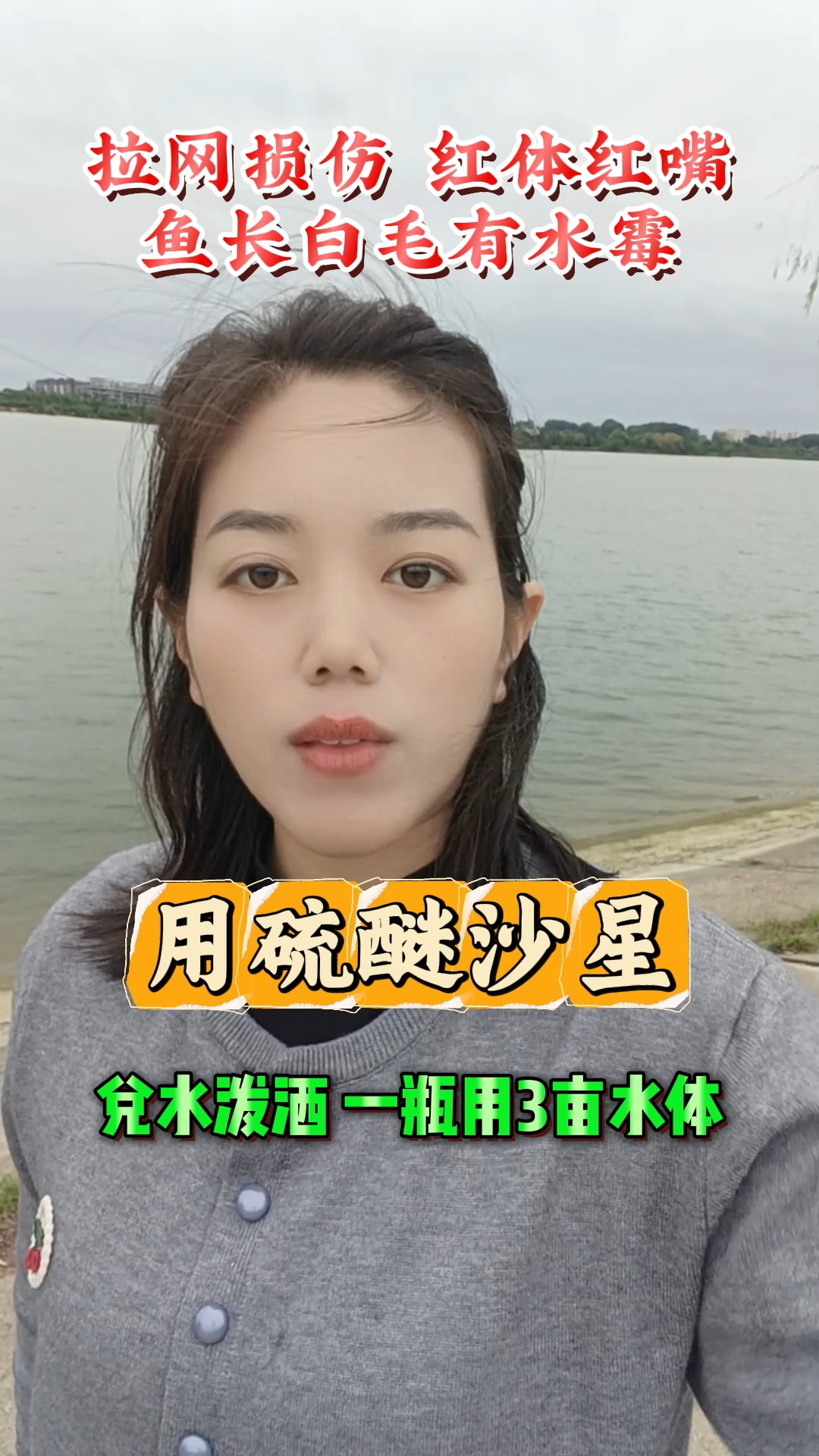 鱼长白毛是什么问题