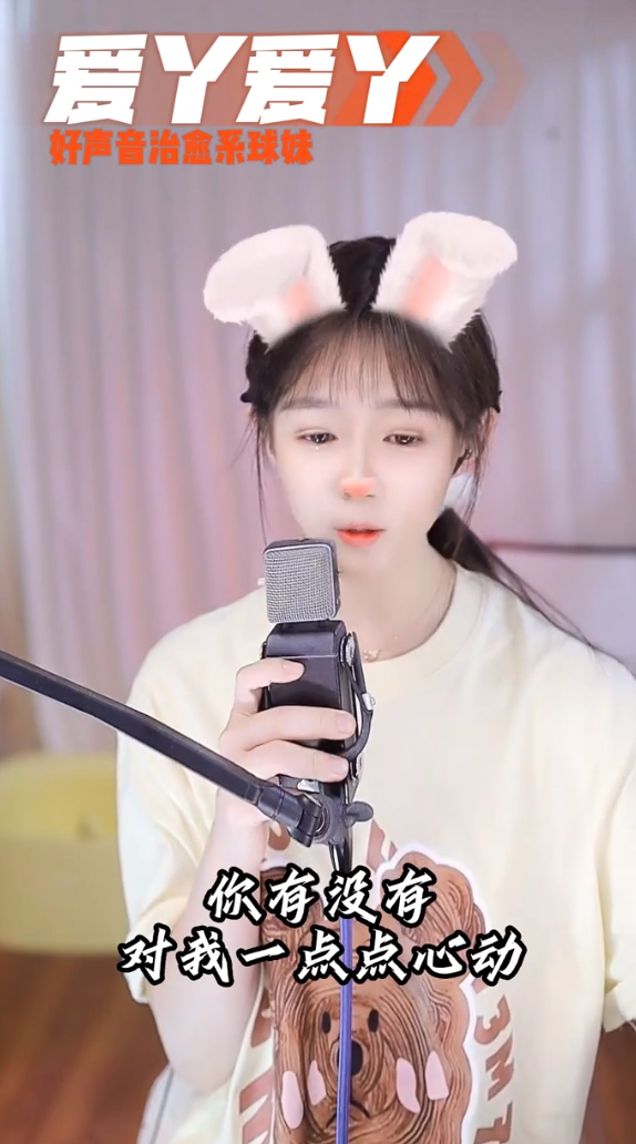 前面有只鸭!什么鸭?爱鸭~