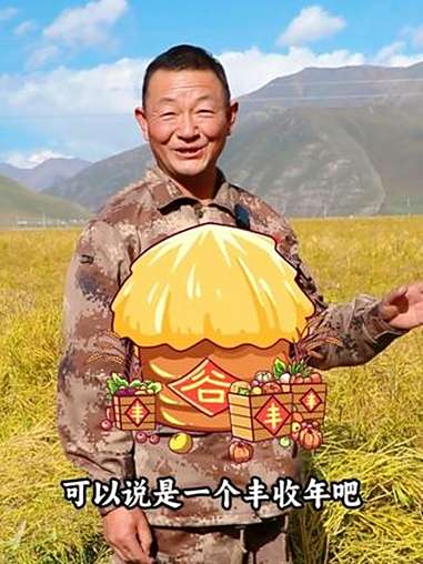 高原小粒油菜籽丰收啦~ 青海门源 长安花菜籽油 高原小粒油菜籽 丰收