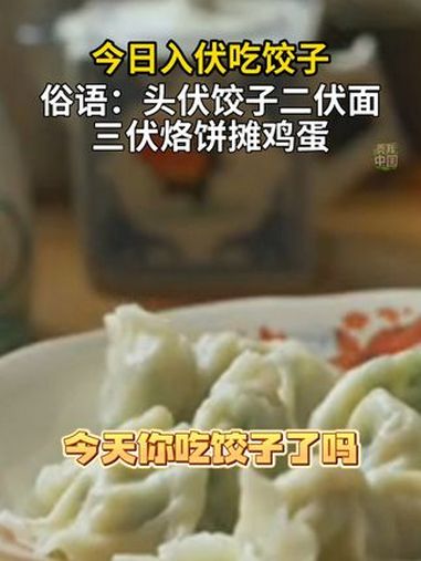 今日入伏吃饺子!你吃了没~ 入伏吃什么 秀我中国