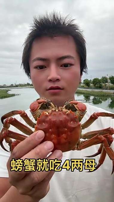 螃蟹就吃4两母 王一洲 微信 W670493 上海 苏州