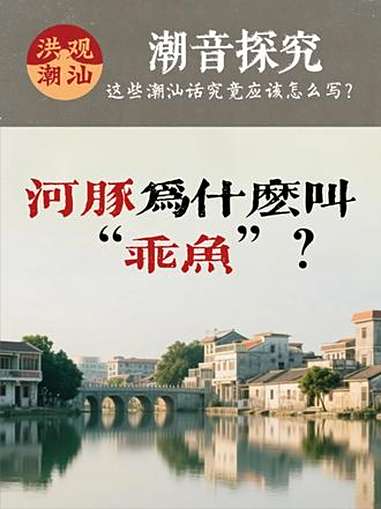 潮音探究(十四)潮汕话里河豚为什么叫“乖鱼”?潮汕 潮汕话 河豚 乖鱼 鲑鱼