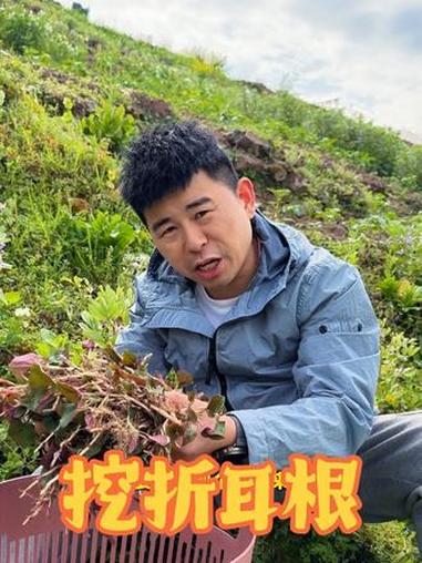 媳妇山上挖野菜,老公气不打一出来,中年夫妻逗气日常#家人的爱长长999#有一种眼神叫家人