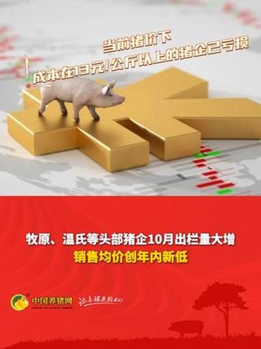 牧原、温氏等头部猪企10月出栏量大增!销售均价创年内新低!牧原 温氏 销售均价 养猪 猪企
