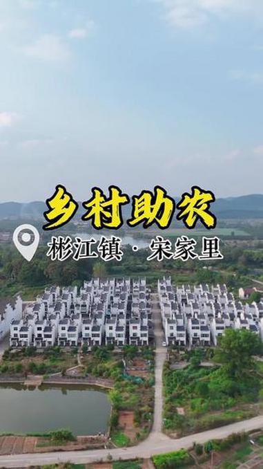 今天来到彬江宋家里收农家菜,宋家里也是我们青龙创始人的宋总家乡。宋总是一位爱心企业家,为家