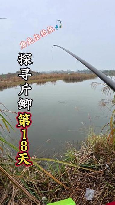 虽然钓鱼路上很艰难,但是一天心情是愉快的 钓鱼 冬天的快乐是冰钓给的 钓鱼的乐趣只有钓鱼人