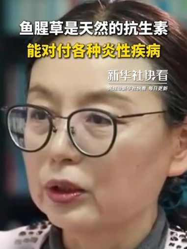 鱼腥草是天然的抗生素,能对付各种炎性疾病