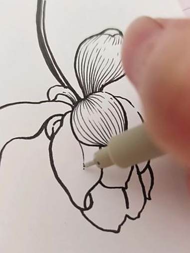 小荷花 手绘 画画 手绘原创 简笔画 手绘过程
