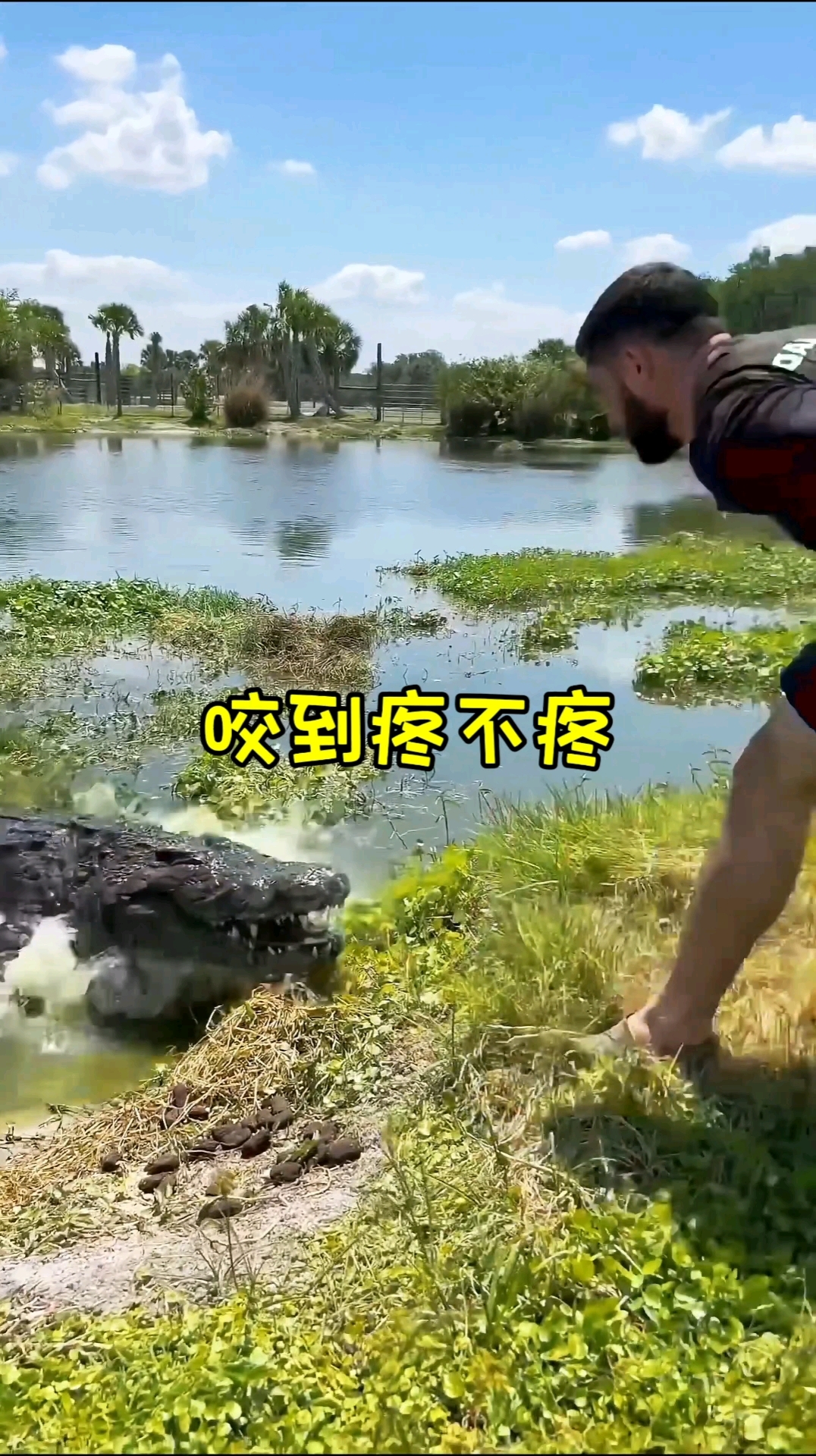 鳄鱼自创“死亡翻滚瑜伽”，甩脂速度比干饭还快！