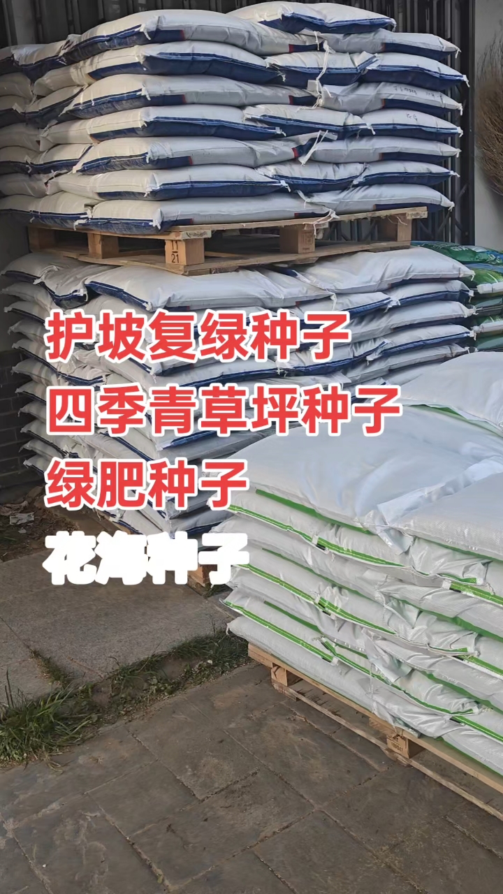 护坡固土耐旱耐旱绿化草种子,护坡草坪草籽,工程边坡绿化种子