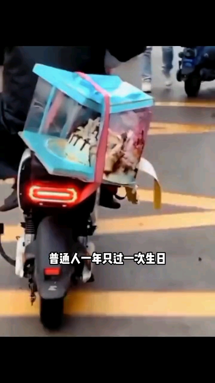 接蛋糕吧,一接一个不吱声 你一年过了几次生日