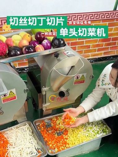 小型多功能切菜机 商用切菜机 切菜机 多功能切菜机 多功能切菜机切丁切片切丝