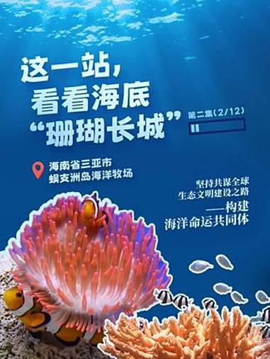 幸会中国｜这一站，看看海底“珊瑚长城”在中国广袤的大地上，有这样一些地方，藏着人与自然最和