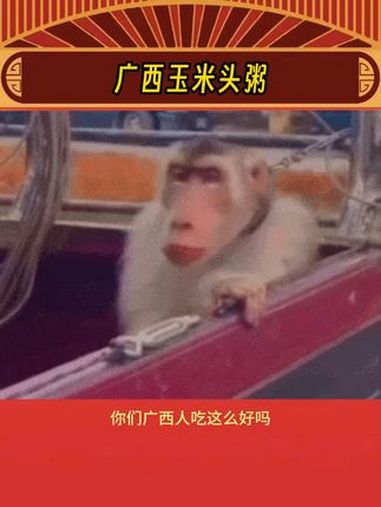 你们广西人吃这么好的哇~ 广西 玉米头粥 美食 娱乐评论大赏