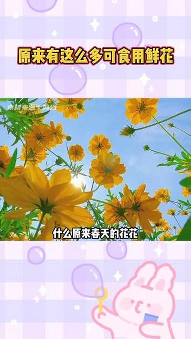 原来有这么多可食用鲜花#春天的花花不仅好看还好吃呀