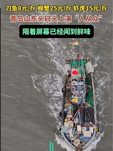 刀鱼8元/斤、螃蟹25元/斤、虾虎15元/斤……青岛山东头码头上演“人从众”,隔着屏幕已经