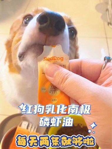 不爱吃鱼油的猫狗,可以试试看红狗家的乳化南极磷虾油!适口性好 红狗乳化南极磷虾油 磷虾油 