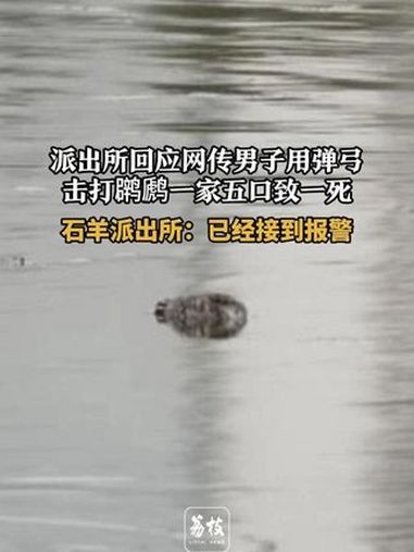 派出所回应网传男子用弹弓击打一家五口致一死,石羊派出所:已经接到报警 希望正义不要来的太迟
