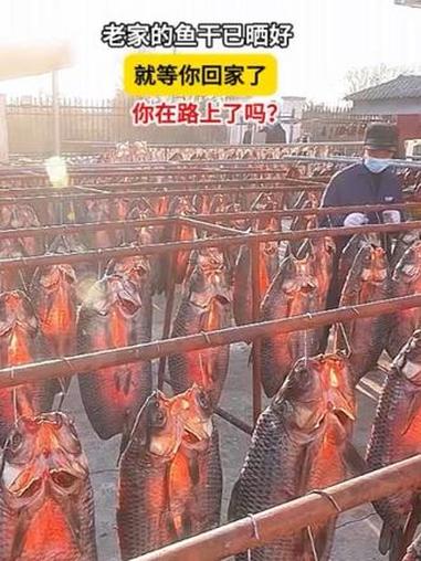 寒冬腊月,老家的院子挂满了鱼干,你在回家的路上了吗?#寒冬腊月鱼干香 #老家的味道 #回家