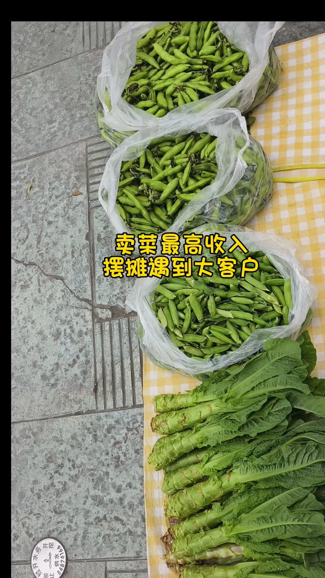 大客户大客户解决了我摆摊的大部分蔬菜,下次卖莴笋就要等10月份了#新大陆计划# #真实生活