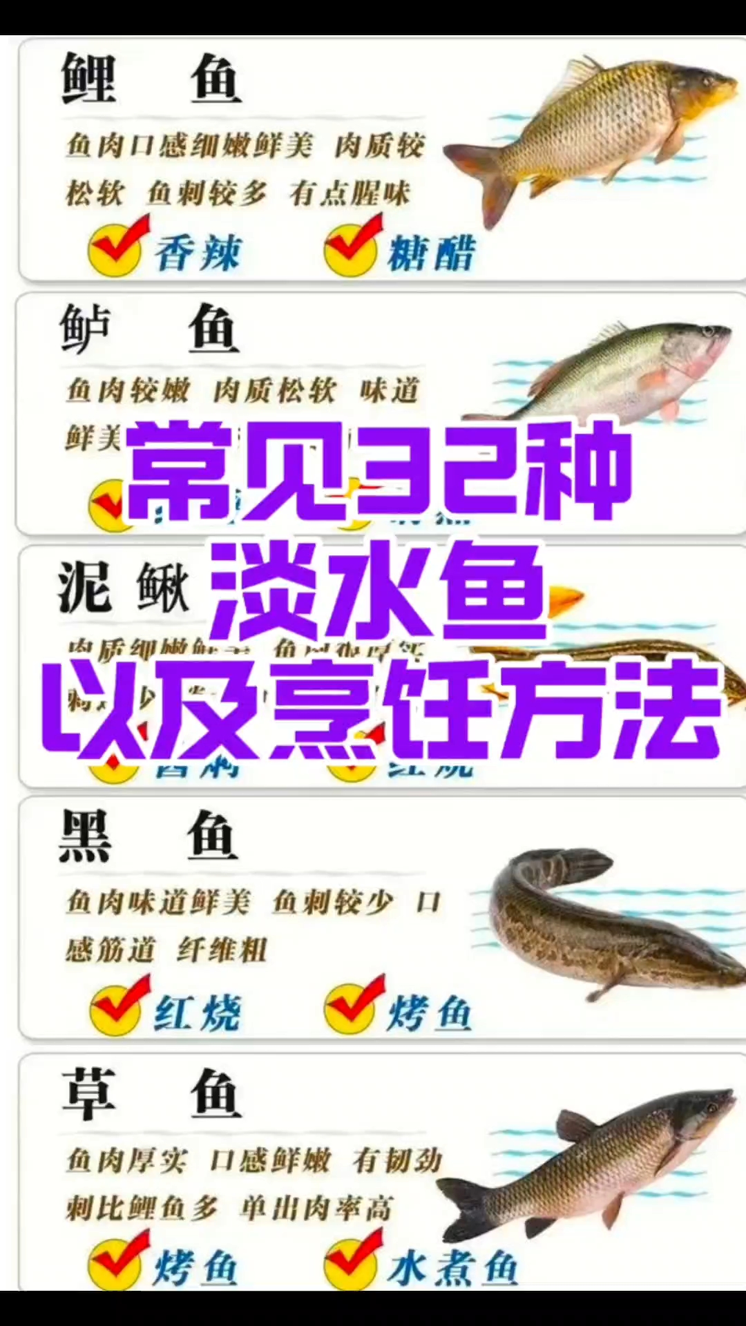 常见的32种淡水鱼以及烹饪方法