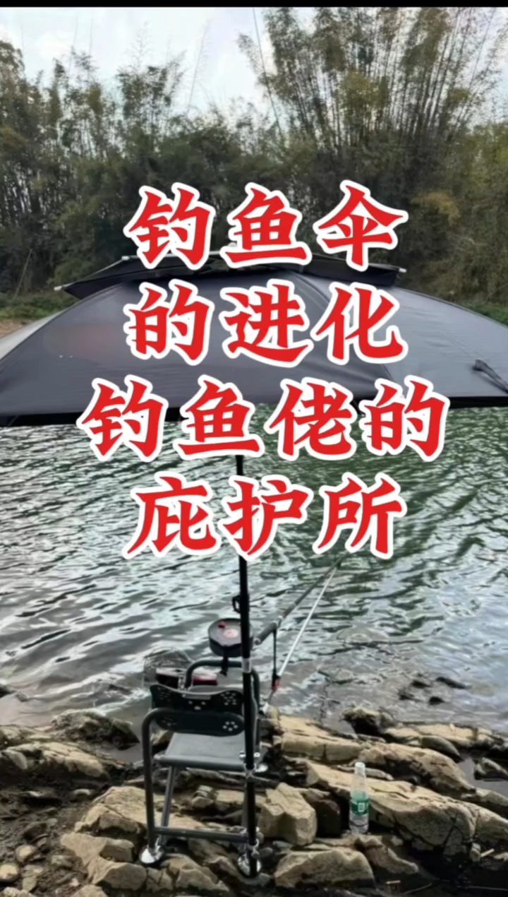 钓鱼伞的进化,钓鱼佬的庇护所