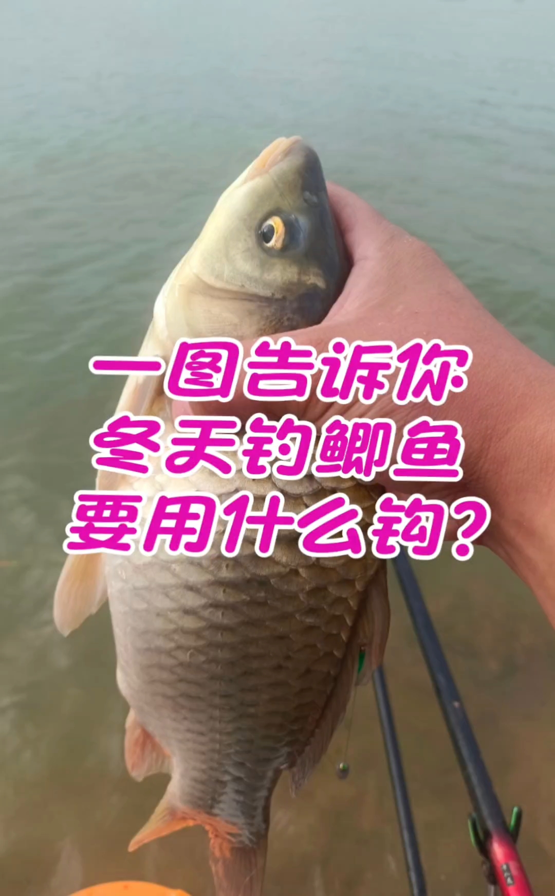 一图告诉你,冬天钓鲫鱼要用什么型号的鱼钩
