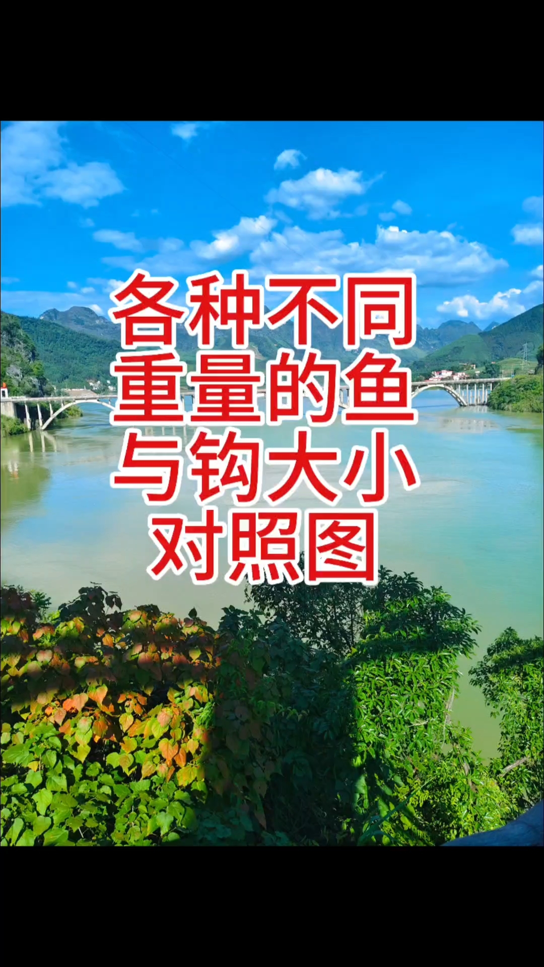 各种不同重量的与钩的大小对照图