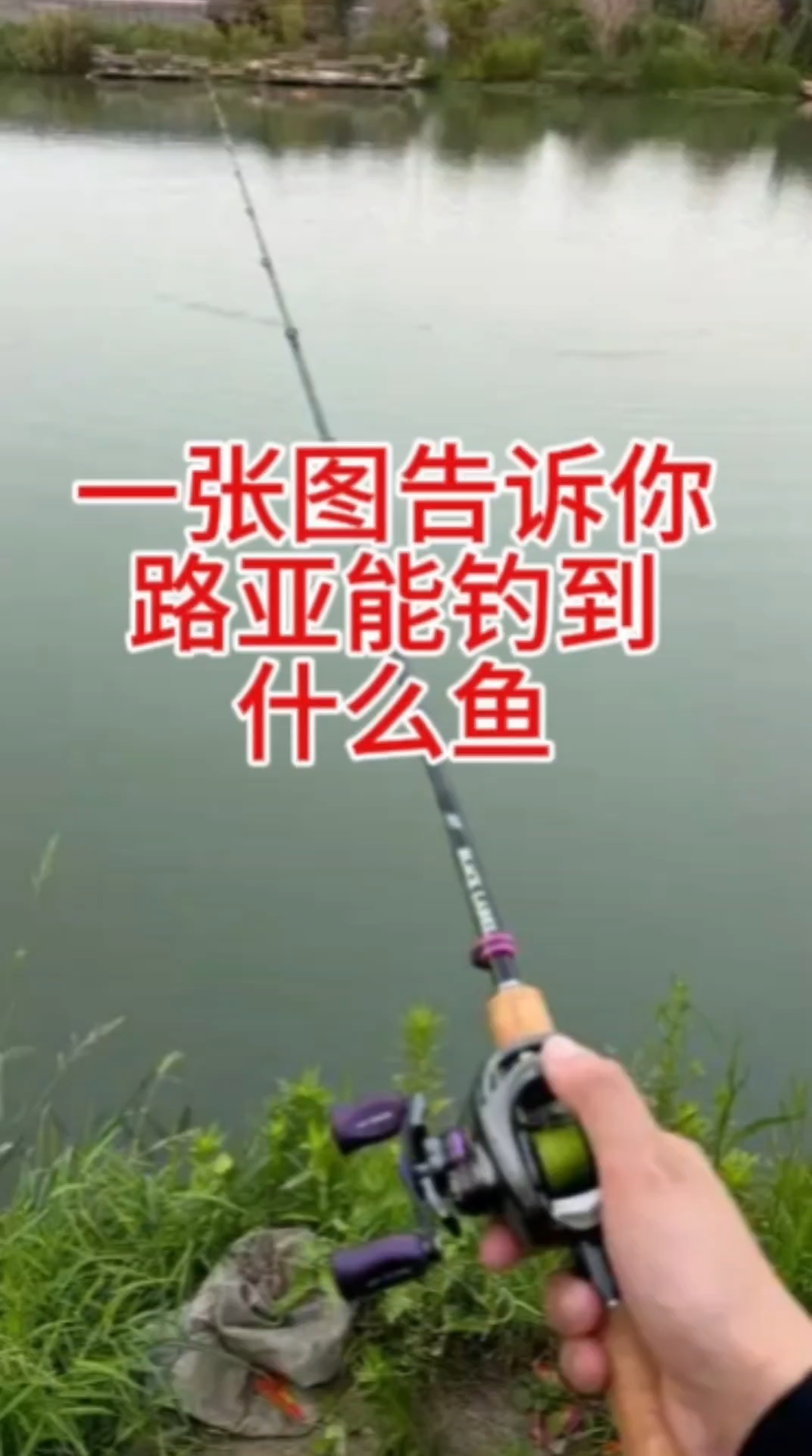 一张图告诉你路亚能钓到什么鱼?