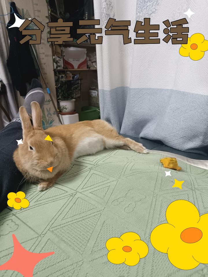午后暖阳,悠闲时光,与君共享