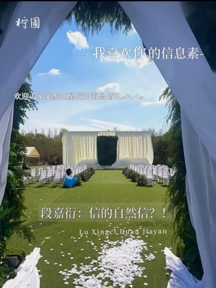 路星辞，段嘉衍99