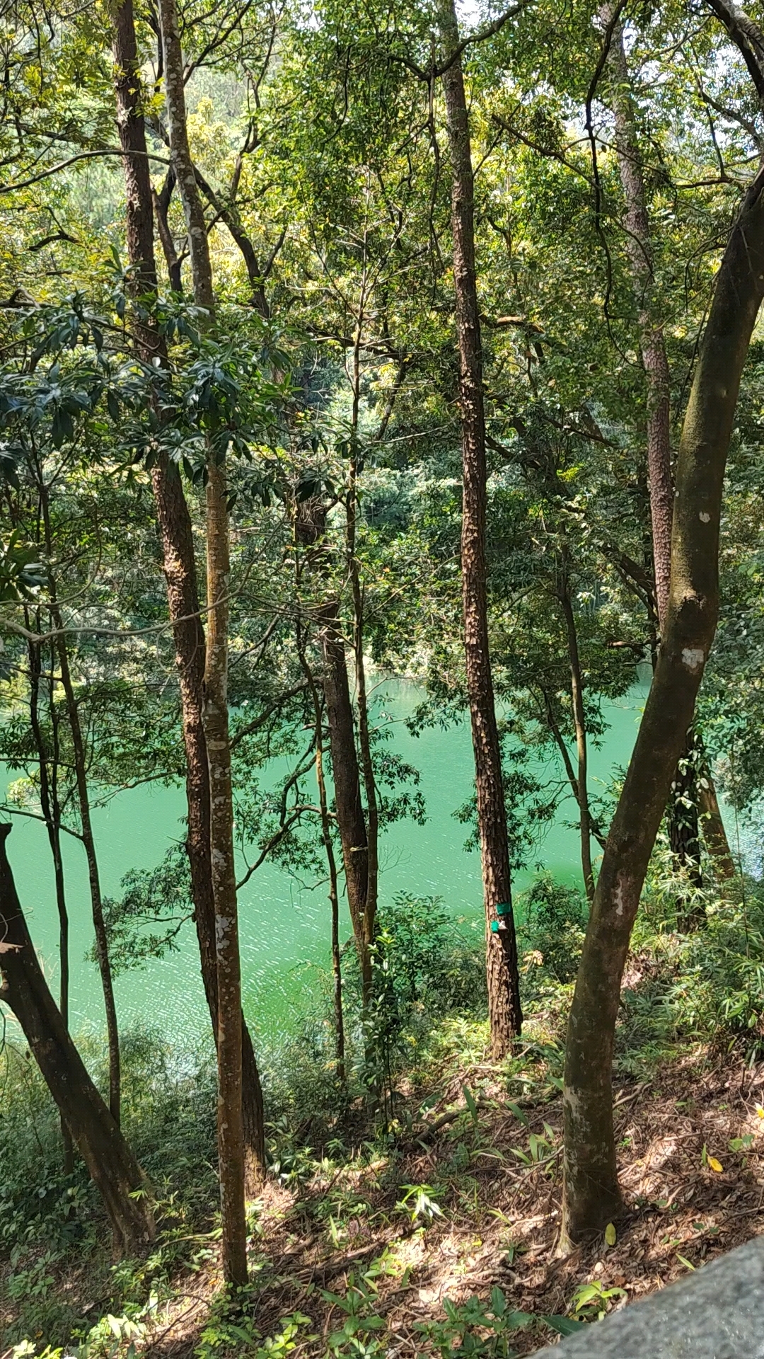 从化流溪河