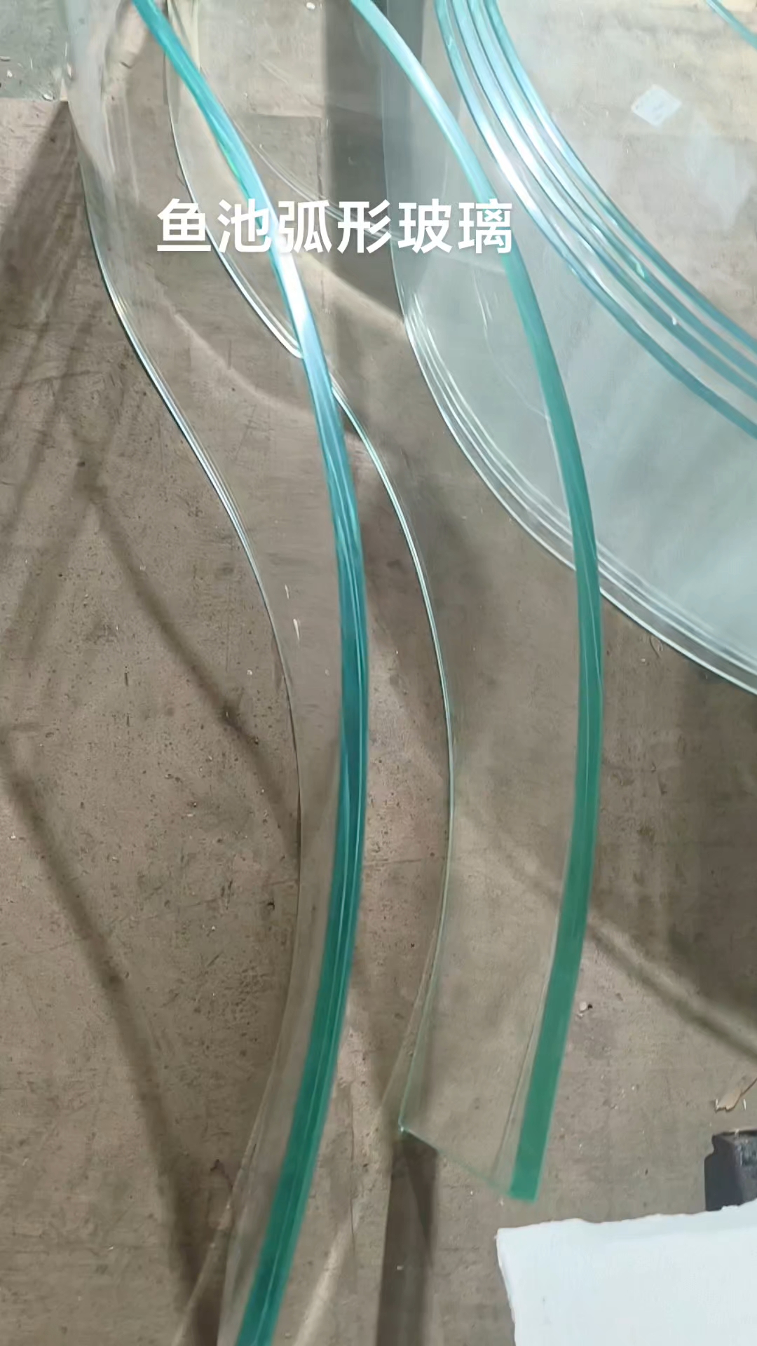 #玻璃鱼池 #S形 #弯弧 春花秋月何时了,往事知多少,小楼