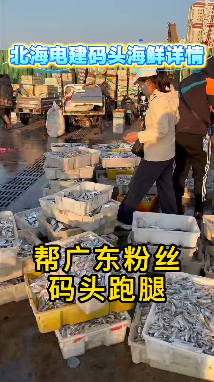 北海渔船捕回来的海鱼最低至8块一斤,扣1带你进群#海鲜 #皮