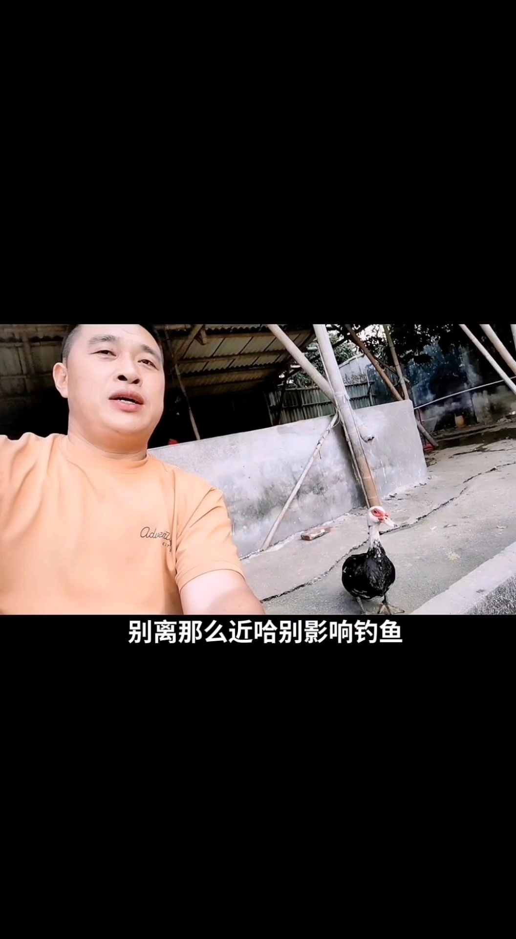不知我该如何起个霸气又非常适合我气质的网名?不能带“鸭”字的